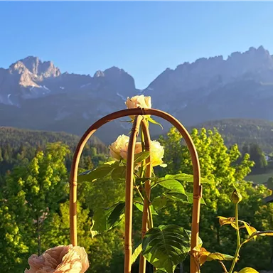 A picturesque mountain landscape with tall peaks and plenty of greenery in the foreground. The scene radiates calmness and natural beauty.