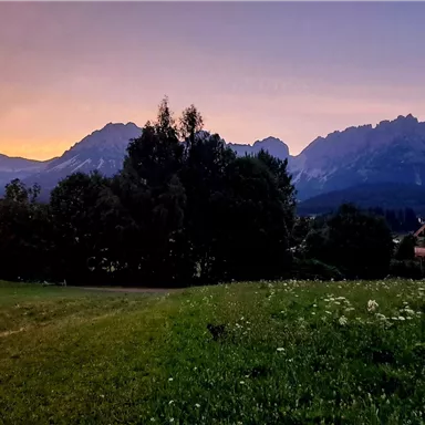 A picturesque landscape with mountains in the background and a gentle meadow in the foreground. The sky is tinted in warm colors during sunset.