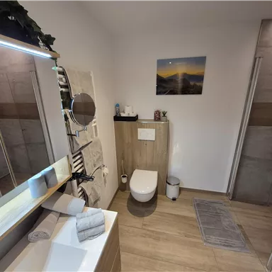 A modern bathroom with wooden floors and an elegant shower. A picture of a landscape hangs on the wall, and the room is bright and tidy.