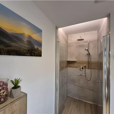 Modern bathroom with a large shower. On the wall hangs an acrylic painting of a landscape with a sunset.