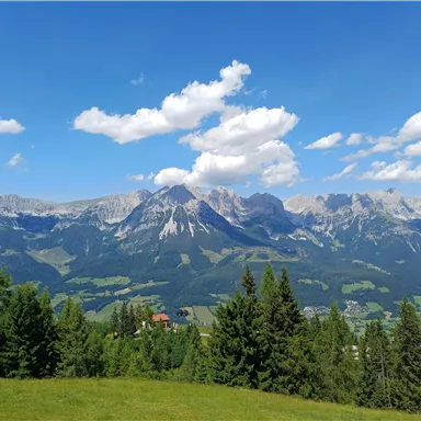 An impressive mountain landscape with green meadows and tall firs. The sky is clear and covered with some white clouds.
