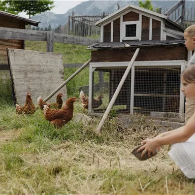 A small chicken coop with several chickens in a green garden. Two children are playing nearby and are interacting with the chickens.