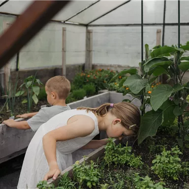 Two children are looking at plants in a greenhouse. There are many different herbs and vegetables in the beds.
