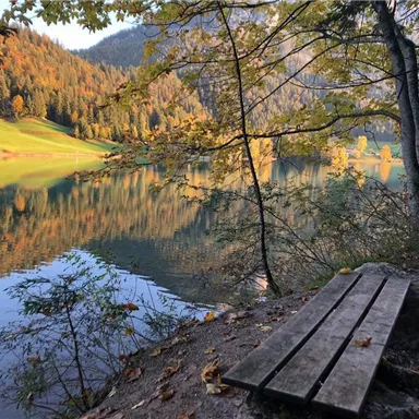 A quiet lake surrounded by autumn trees and gentle hills. A wooden bench invites relaxation and enjoyment of the landscape.
