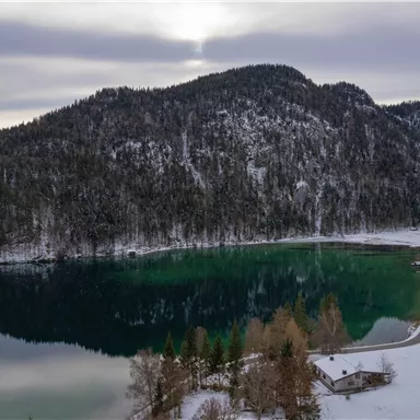 A picturesque lake surrounded by snow-capped mountains and forests. The calm water surface reflects the natural beauty of the surroundings.