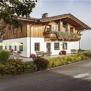 Ein charmantes Haus im alpinen Stil mit Holzverkleidung und einem Balkon. Umgeben von grünen Wiesen und blühenden Pflanzen.