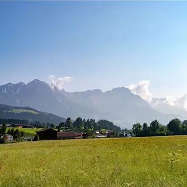 Eine malerische Landschaft mit majestätischen Bergen im Hintergrund. Im Vordergrund erstreckt sich eine grüne Wiese und dazwischen liegen einige schöne Häuser.