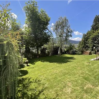 Ein schöner Garten mit grünem Rasen, Bäumen und Pflanzen. Der Himmel ist klar und sonnig.