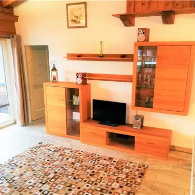 Ein gemütlicher Wohnraum mit holzverkleideten Wänden und modernem Mobiliar. Ein Flachbildfernseher steht auf einem TV-Möbel, neben einem großen Fenster mit Blick nach draußen.