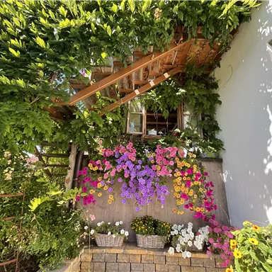 Ein schöner Eingangsbereich mit üppigen grünen Pflanzen und bunten Blumen. Eine Holztreppe führt zu einem Fenster, das von Pflanzen umgeben ist.