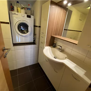 Badezimmer mit Dusche/WC und kostenlos benützbarer Waschmaschine