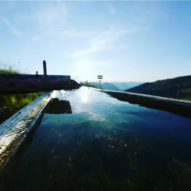 Ein ruhiger Holzkanal mit klarem Wasser, umgeben von grünen Wiesen und Bergen im Hintergrund. Der Himmel ist blau mit einigen Wolken.