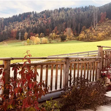 Ein schöner Ausblick auf ein grünes Feld, umgeben von bunten Bäumen im Herbst. Im Vordergrund eine Holzbrüstung mit bunten Pflanzen.