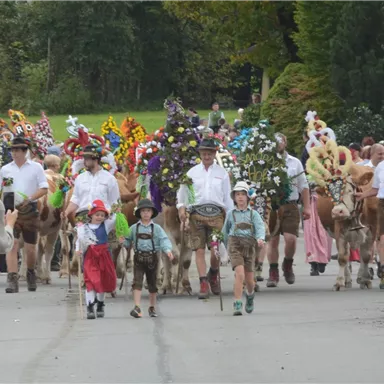 A festive parade with decorated cows and people in traditional clothing. Children and adults march together in the street.