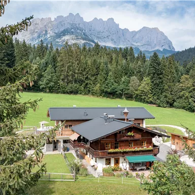 Das Almchalet Weberhof umgeben von dichten Wäldern und Wiesen. Im Hintergrund erheben sich majestätische Berge unter einem klaren Himmel.