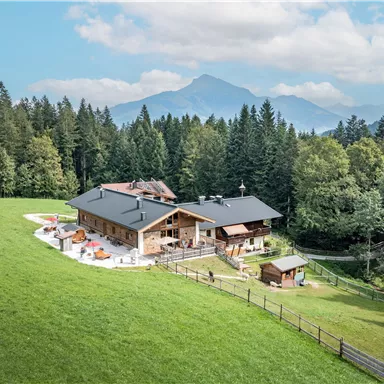 Das Almchalet Weberhof umgeben von grünen Wiesen und dichten Wäldern. Im Hintergrund sind sanfte Berge und ein blauer Himmel zu sehen.