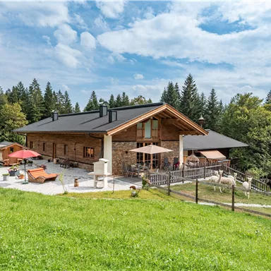 Das Chalet Hausruck umgeben von grünen Wiesen und Bäumen. Die Terrasse bietet Zeit für Ruhe und Entspannung. Beobachtet von unseren neugierigen Alpakas.