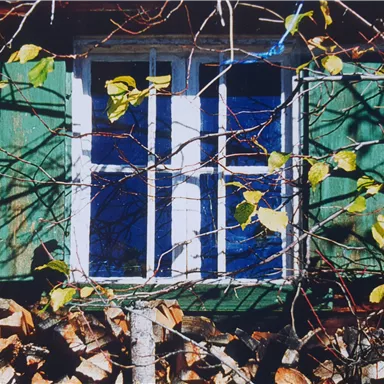 Ein Fenster mit grünen Fensterläden und einer schönen Aussicht. Im Vordergrund sind Äste und Holzstapel zu sehen.