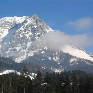 A majestic mountain landscape with snow-covered peaks and a clear sky. In the foreground, green trees are visible.