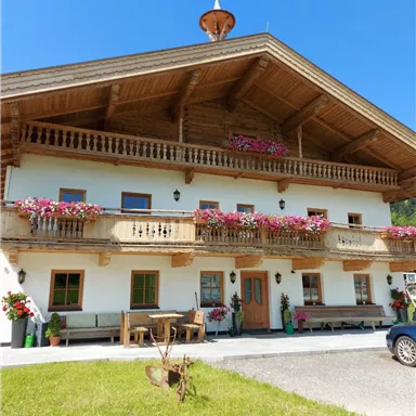 A traditional alpine house with a wooden gable and blooming balconies. The sky is clear and blue, surrounded by a green meadow.