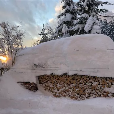 A snow-covered pile of wood under a thick layer of snow. In the background, a sunset is visible between the trees.