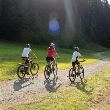 Three people are riding bicycles on a gravel path. The landscape is green, surrounded by trees and sunlight.
