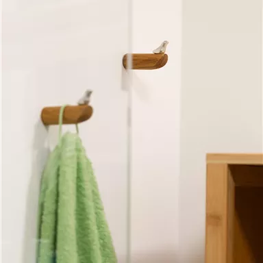 A minimalist bathroom area with a green towel hanging on a wooden holder. In the background, a glass wall and a wall shelf are visible.