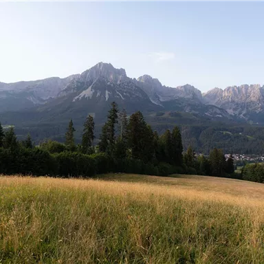 A picturesque landscape with green meadows and majestic mountains in the background. The sky is clear and the atmosphere is peaceful.