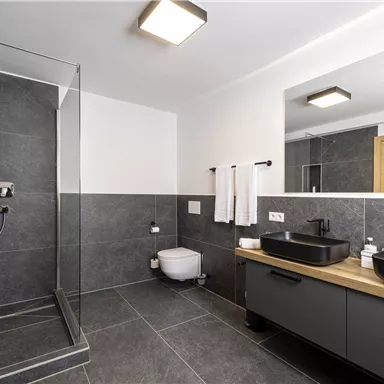 A modern bathroom with a walk-in shower and elegant sinks. The walls and floor are in dark tones, giving the space a stylish ambiance.
