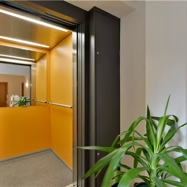 Ein moderner Aufzug mit orangefarbenen Wänden und einem Sichtfenster. Eine Pflanze steht neben der Aufzugtür.