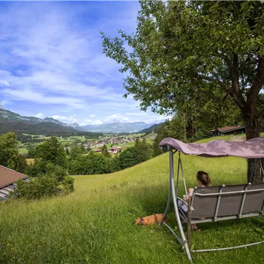 A person is sitting relaxed on a swing under a tree, surrounded by a green meadow. In the background, mountains and a clear sky can be seen.