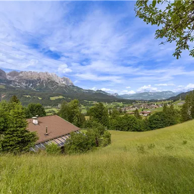 A picturesque landscape with green meadows and a view of the mountains. In the foreground stands a house, surrounded by trees and bushes.