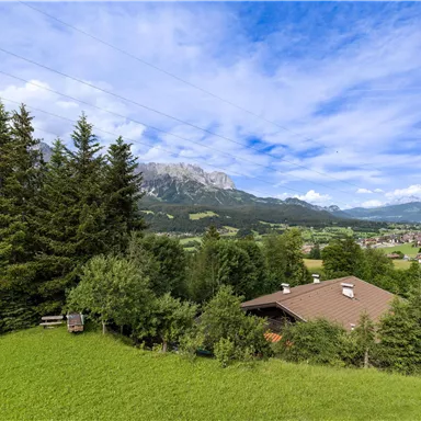 An idyllic landscape with green meadows and dense fir trees. In the background, mountains and a clear sky can be seen.