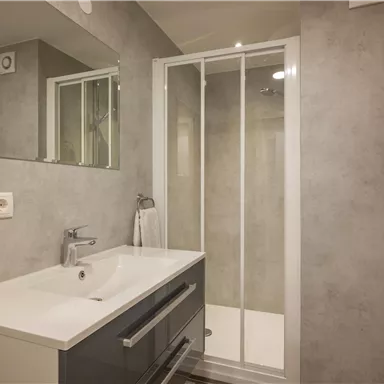 Ein modernes Badezimmer mit einem Waschbecken und einem Spiegel. Es gibt eine Duschkabine und Handtücher hängen an der Wand.