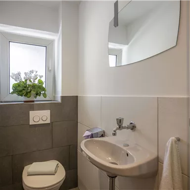 Ein modernes Badezimmer mit einem kleinen Waschbecken und einem Spiegel. Ein Fenster lässt Tageslicht hereinfällt und eine Pflanze sorgt für eine frische Note.