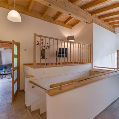 A modern staircase in a bright interior with wooden ceilings and large windows. The space is elegantly and invitingly designed.