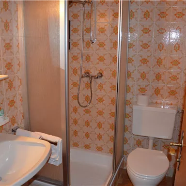 A small bathroom with a shower, a sink, and a toilet. The walls are decorated with a floral pattern.