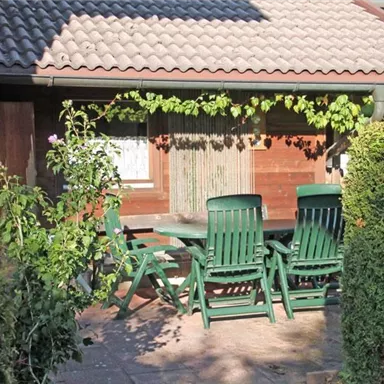 Ein gemütlicher Außenbereich mit grünen Stühlen und einem Tisch. Umgeben von Pflanzen und einem Holzhaus im Hintergrund.