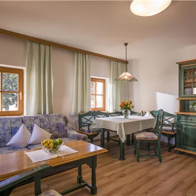 Ein gemütlicher Wohnraum mit einer blauen Couch, einem Esstisch und einem grünen Schrank. Große Fenster lassen viel Tageslicht herein.