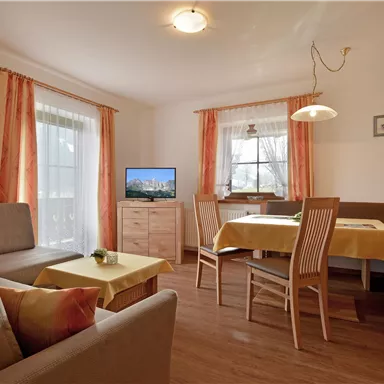 A bright living room with a sofa, a dining table, and a television. Large windows let in plenty of light, and the room has a friendly atmosphere.