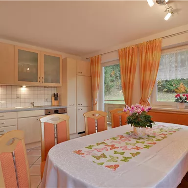 A bright kitchen with a large dining table and colorful chairs. Plenty of daylight comes through the windows, and there is a blooming plant on the table.
