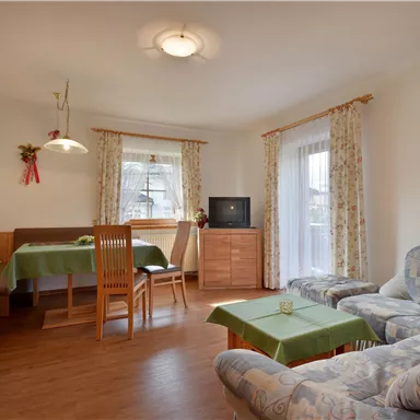 A cozy living room with a modern kitchen, dining table, and a comfortable sofa. Large windows provide plenty of daylight.