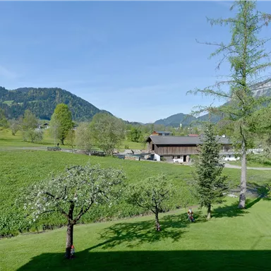 A picturesque landscape with green meadows and hills. In the background, a traditional farmhouse and some trees can be seen.
