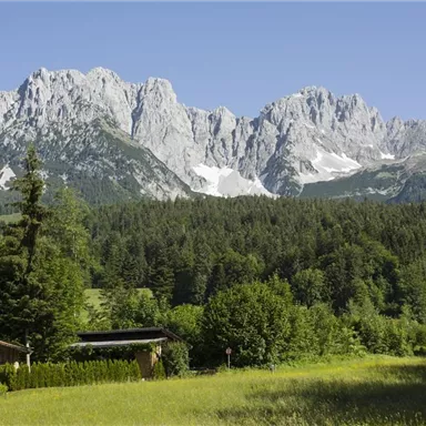 An impressive mountain landscape with high, rugged peaks. In the foreground, there is a green meadow and trees, as well as some wooden buildings.