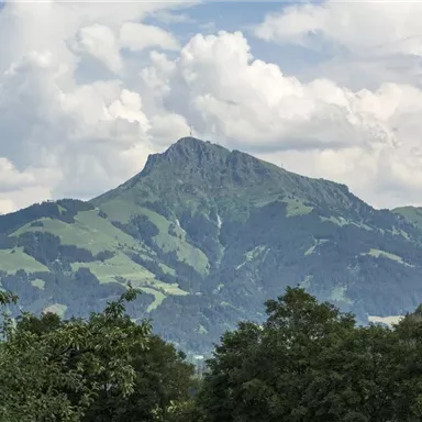 Ein majestätischer Berg mit grünen Wiesen und Wolken am Himmel. Die Landschaft ist ruhig und einladend.