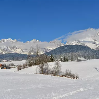 A snowy winter landscape with majestic mountains in the background. The sky is clear and blue, and in the foreground, snow-covered meadows can be seen.