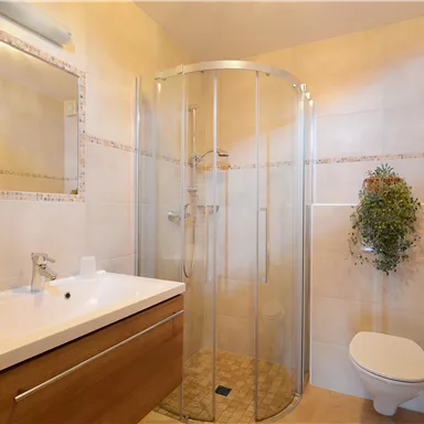 A modern bathroom with a shower cubicle and a wooden vanity. The walls are light, and there is a small plant accent.