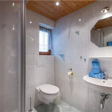 Ein modernes Badezimmer mit einer Dusche, einem Waschbecken und einer Toilette. Helle Fliesen und ein Holzdecke sorgen für eine freundliche Atmosphäre.