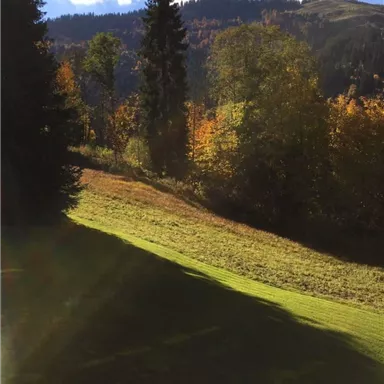 A picturesque landscape with colorful autumn trees and gentle hills. The sky is clear and there are sunbeams illuminating the scene.