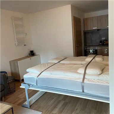 A modern room with a bed and an open kitchenette. The decor is simple and inviting with a bright, cheerful space.